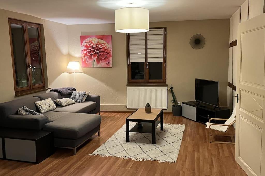Grand Appartement A Barr Luaran gambar